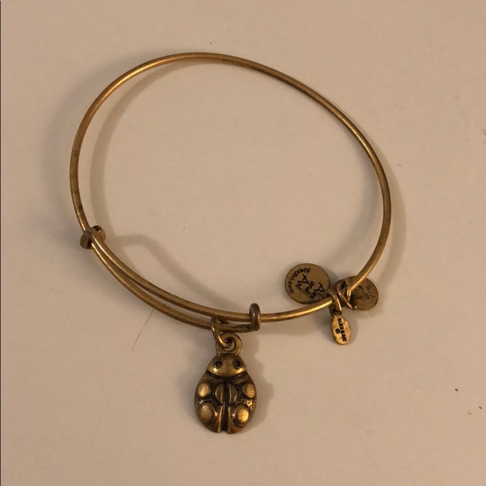 Alex and Ani lady bug bangle